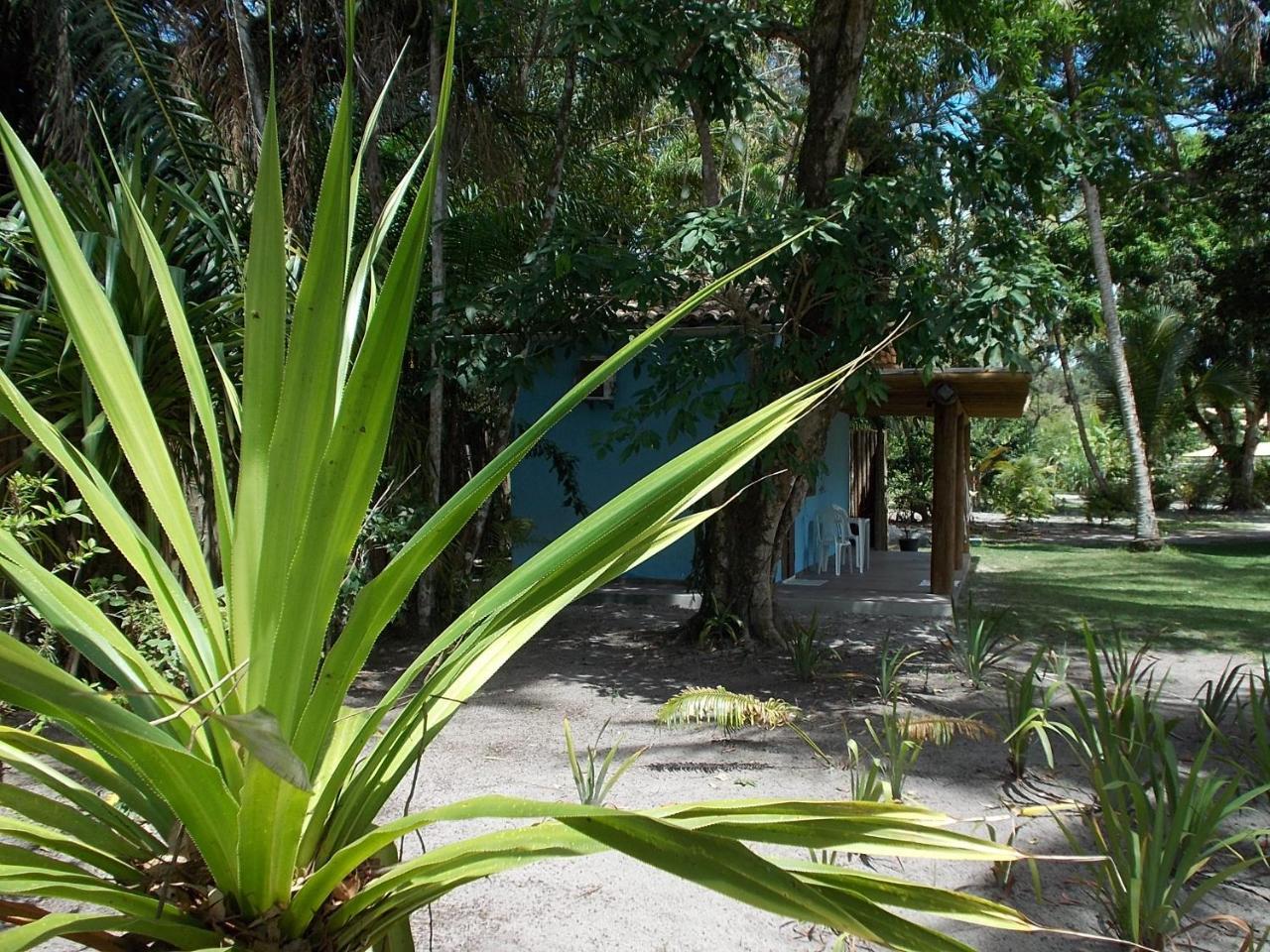 Onca 1024 Villa Trancoso Buitenkant foto