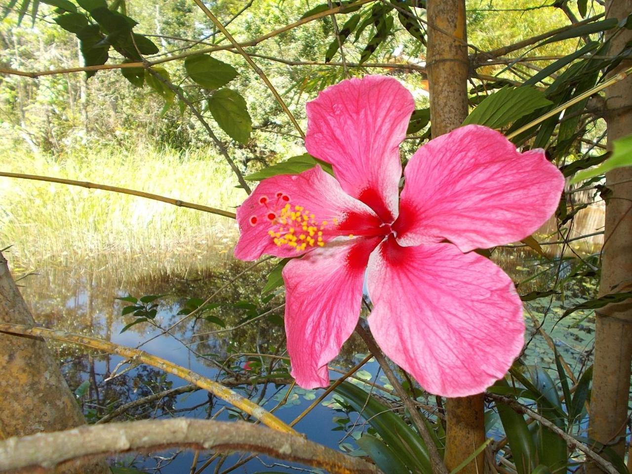 Onca 1024 Villa Trancoso Buitenkant foto